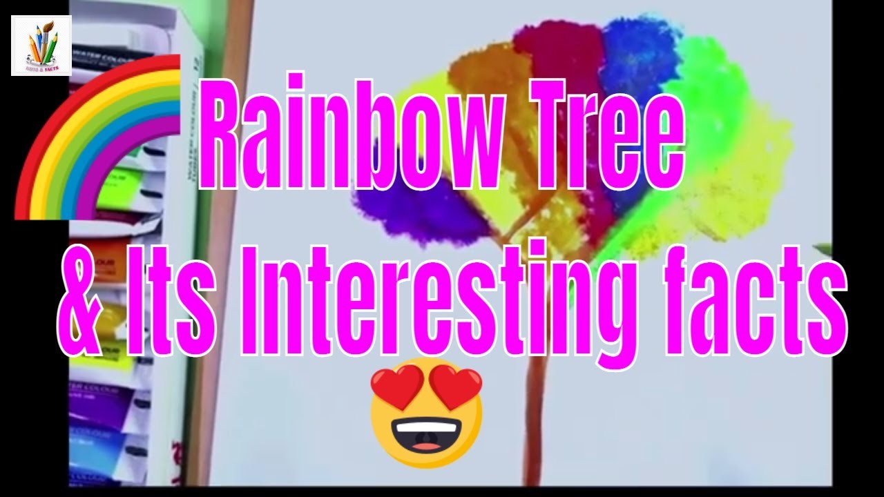 ????????Learn To Art a Beautiful Rainbow Tree & Its Interesting Facts????❤️! #facts #acrylic #art #rainbow