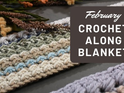 February 2023 - Crochet Along Temperature.Sampler Blanket Stitch Tutorial
