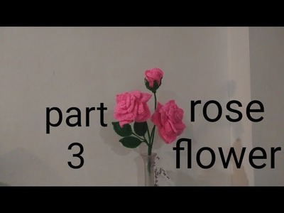Beautiful  rose flower