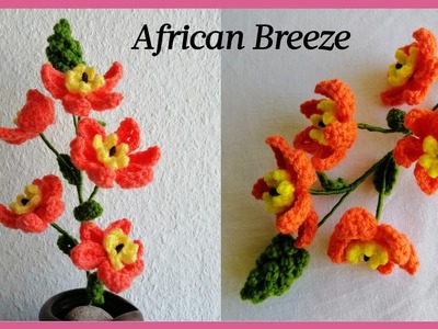 Crochet African Breeze flowers