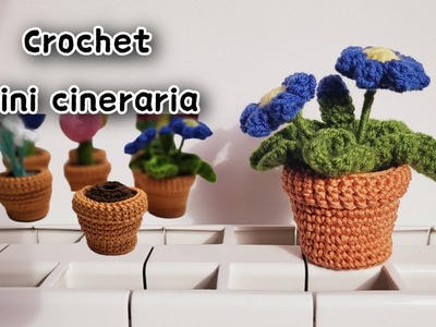 Crochet mini Plant CINERARIA flower Amigurumi plants for beginners