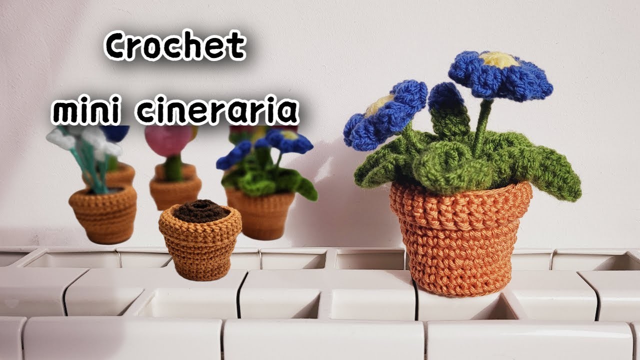 Crochet mini Plant CINERARIA flower Amigurumi plants for beginners