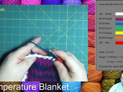 Crochet Lesson - Temperature Blanket Parts 11 & 12