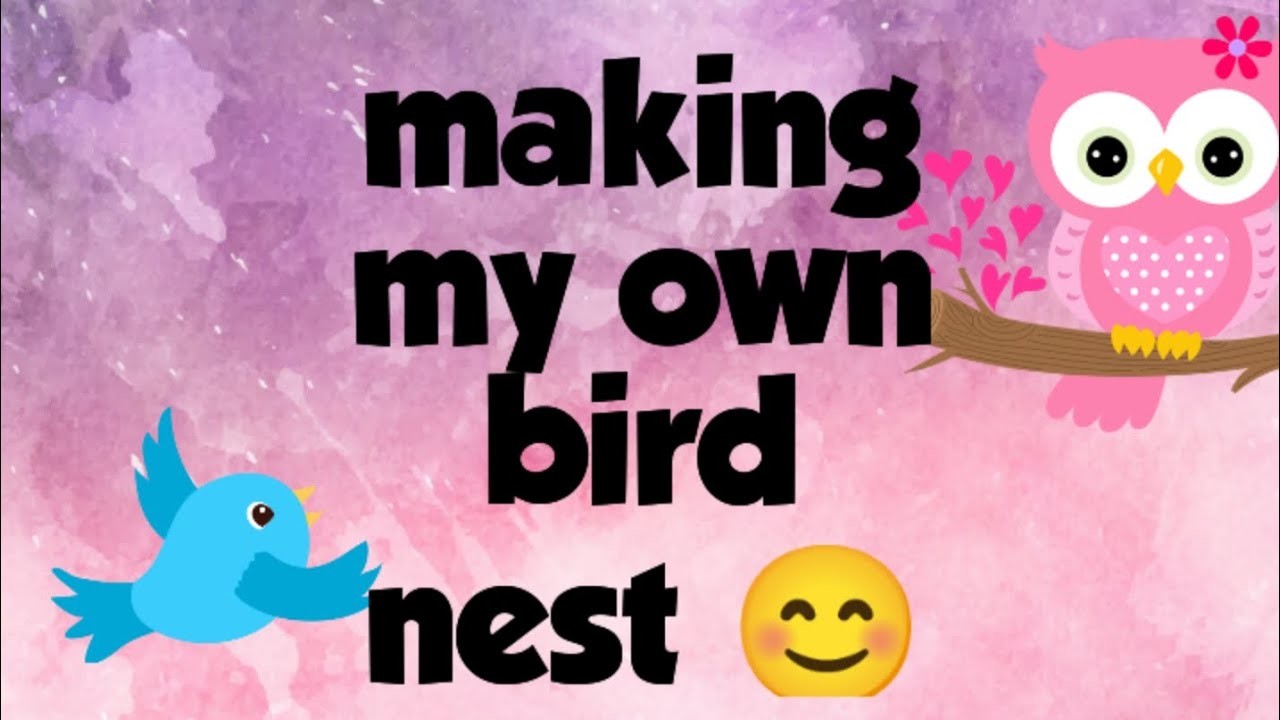 Create an Incredible Bird Nest at Home - You Won't Believe What Happens Next!