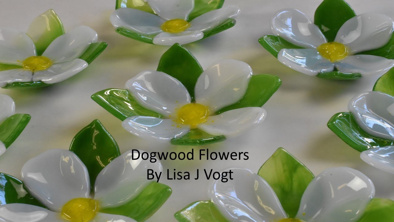 Dogwood Flower by Lisa J Vogt Video