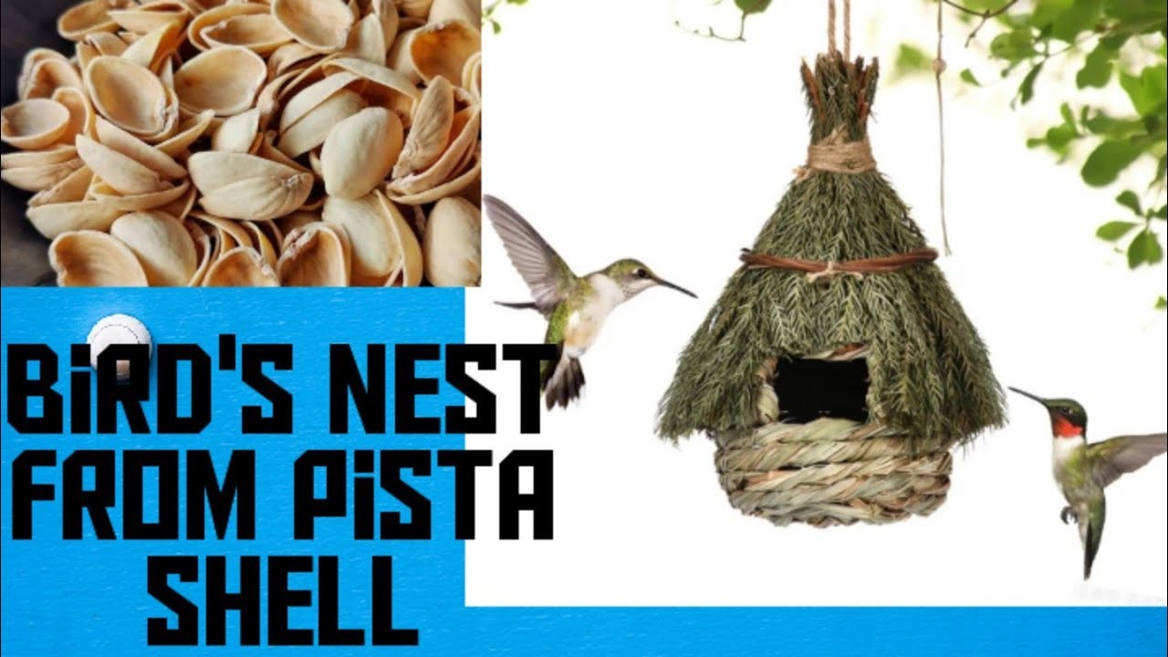 DIY Bird nest making from pista shell || Bird House making idea | Handmade Room decoration idea