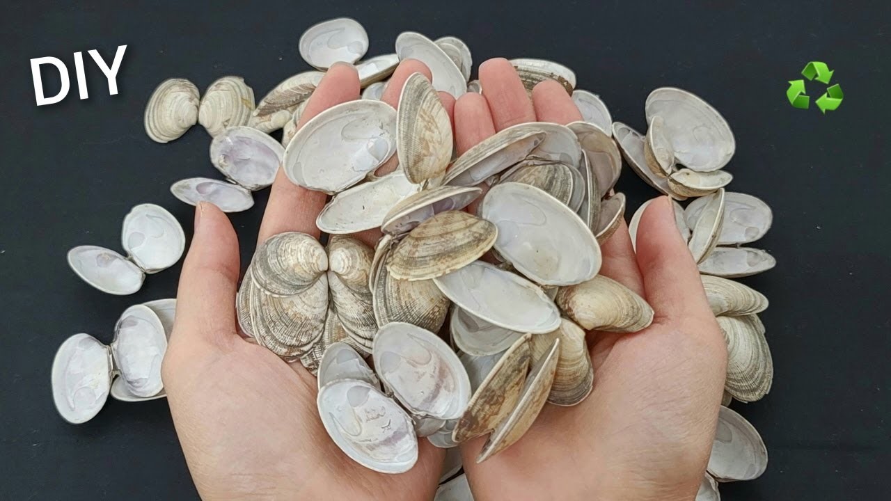 Do not throw away the sea shell. Transform into very useful items. Recycled hack ! Reuse DIY
