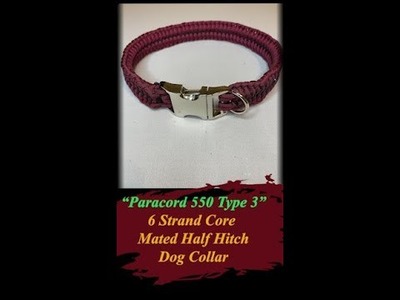Wide 6 Strand Paracord 550 Dog Collar