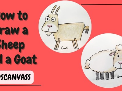 How to Draw a Sheep || How to Draw a Goat || Easy Step by Step Drawing of a Cute Sheep and Goat