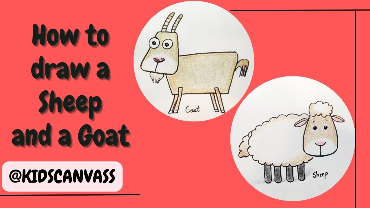 How to Draw a Sheep || How to Draw a Goat || Easy Step by Step Drawing of a Cute Sheep and Goat