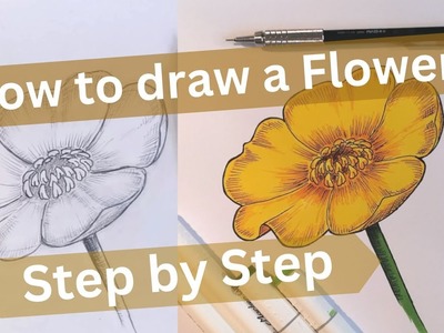 How to Draw a Buttercup Step by Step - Drawing Made Simple and Fun