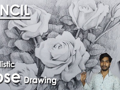 Realistic Rose Drawing in Pencil | step by step Drawing | Supriyo