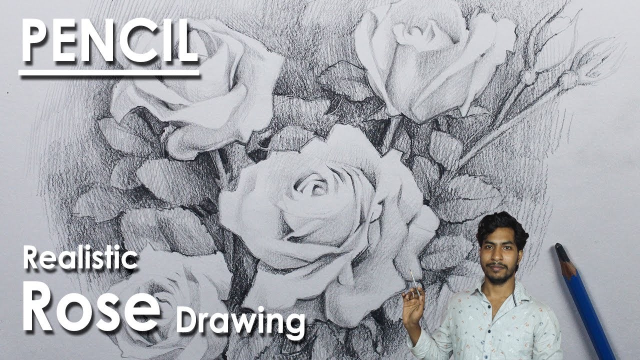 Realistic Rose Drawing in Pencil | step by step Drawing | Supriyo