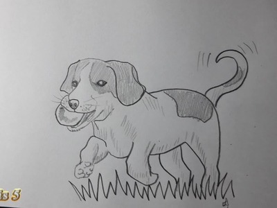 Como dibujar un perro | how to draw a dog