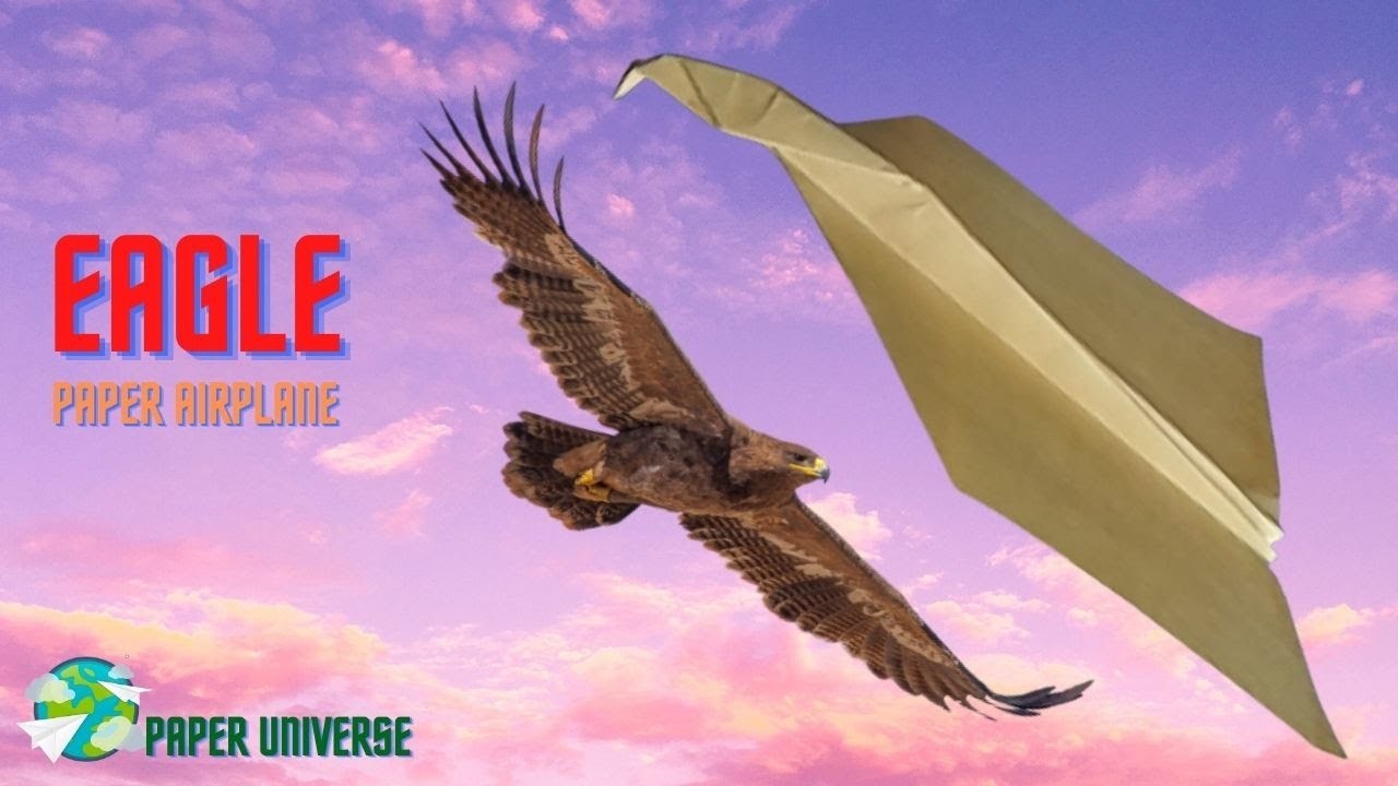 How to Make a Eagle Paper Plane?.  How to Fly Your Paper Plane for Longer?