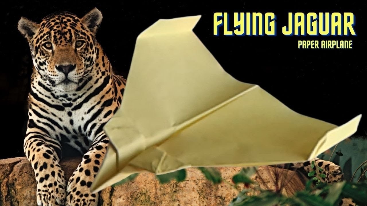 How to Make a Jaguar Paper Airplane. Interesting Facts About Making Paper Planes