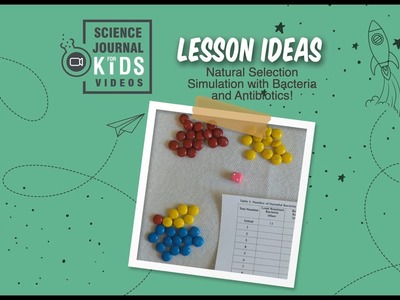 Lesson Idea: Natural Selection Simulation with Bacteria and Antibiotics for middle and high school