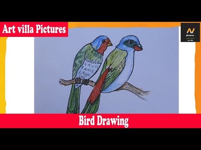 Love Bird Drawing | How to Draw | Easy Drawing