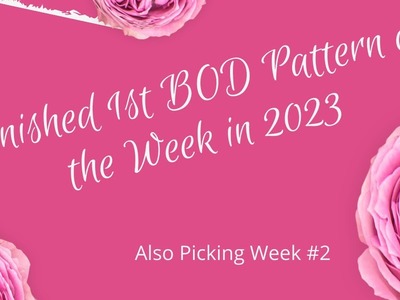 Finished 1st BOD Pattern of the Week in 2023!