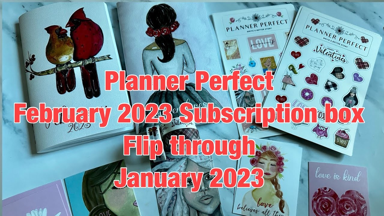 Planner perfect February 2023 subscription box and January flip through