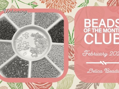 Beads of the Month Club - Delicas - February 2023