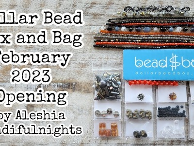 Dollar Bead Box and Bag February 2023 Opening