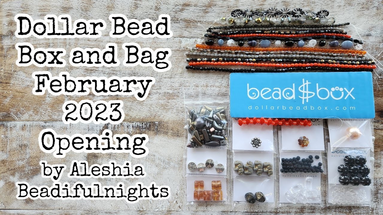 Dollar Bead Box and Bag February 2023 Opening