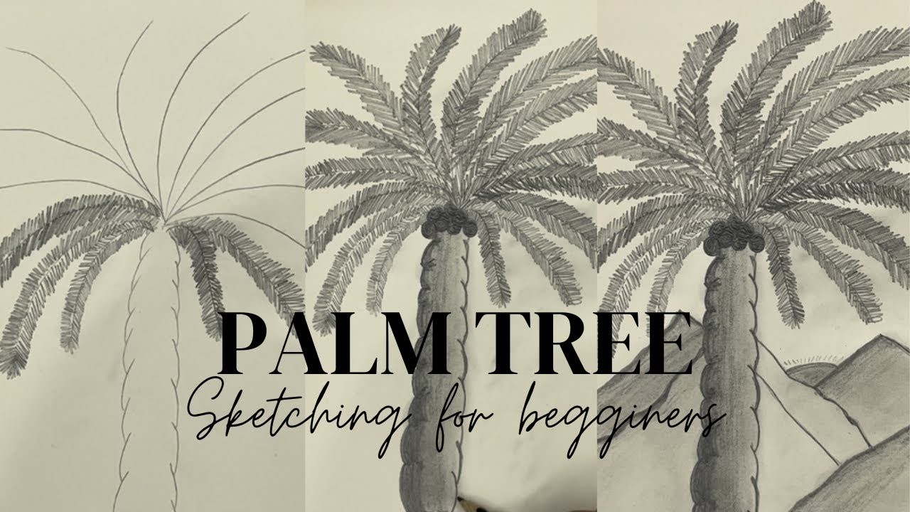 How To Draw Palm Tree || Pencil Sketching Tutorial