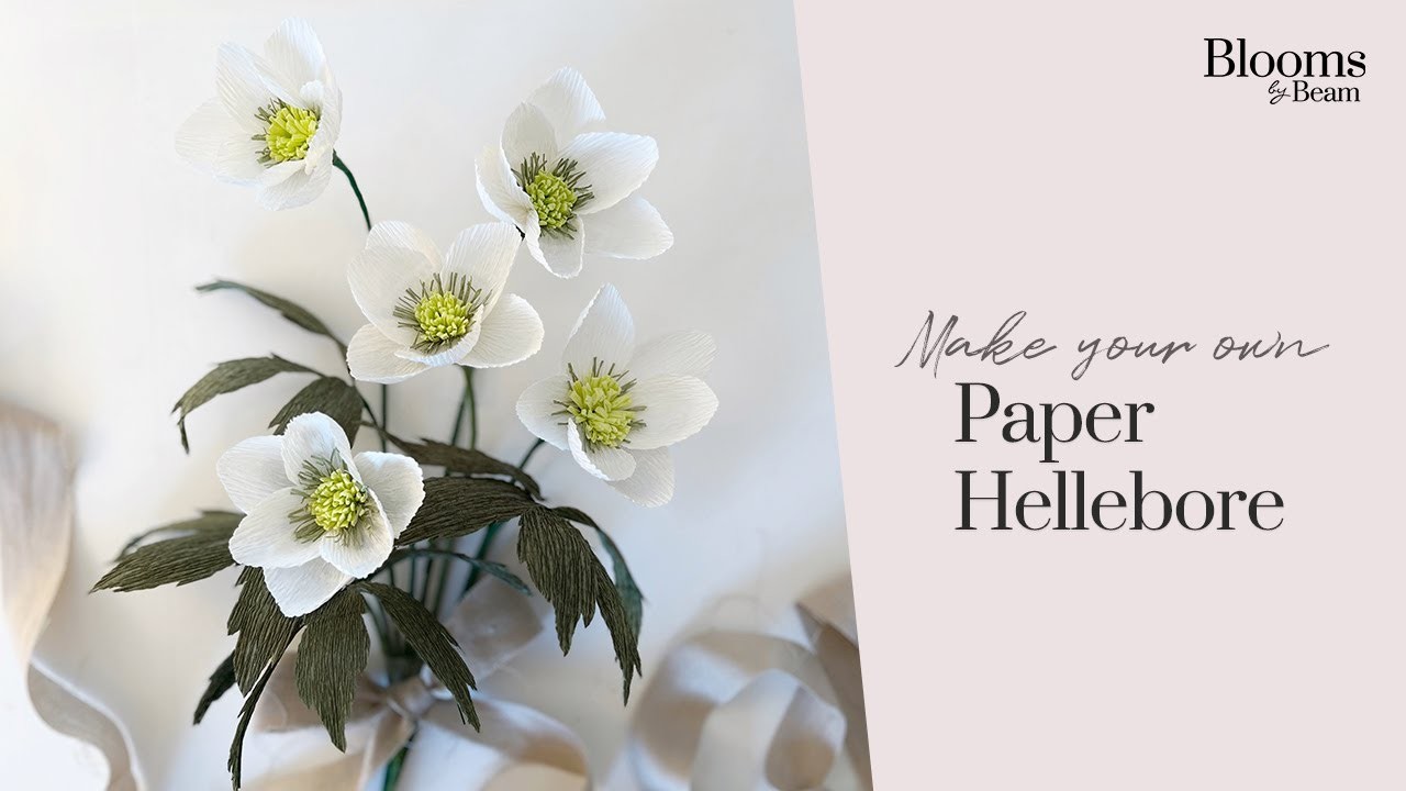 Make a Paper Hellebore