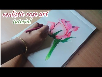 Realistic rose drawing tutorial.  rose art with colour pencils.how to draw Rose. Bismi Tamil crafts