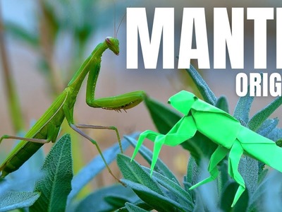 Simple and Quick Mantis Origami Tutorial for Beginners: Fun and Easy to Make
