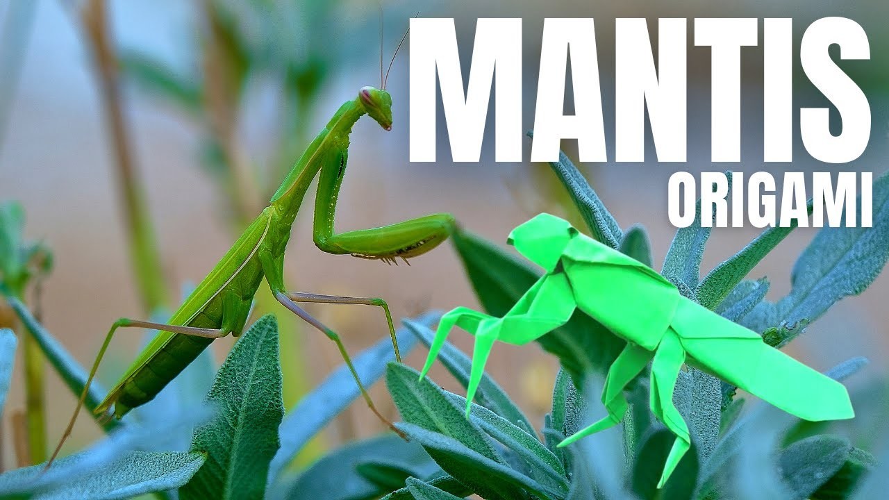 Simple and Quick Mantis Origami Tutorial for Beginners: Fun and Easy to Make