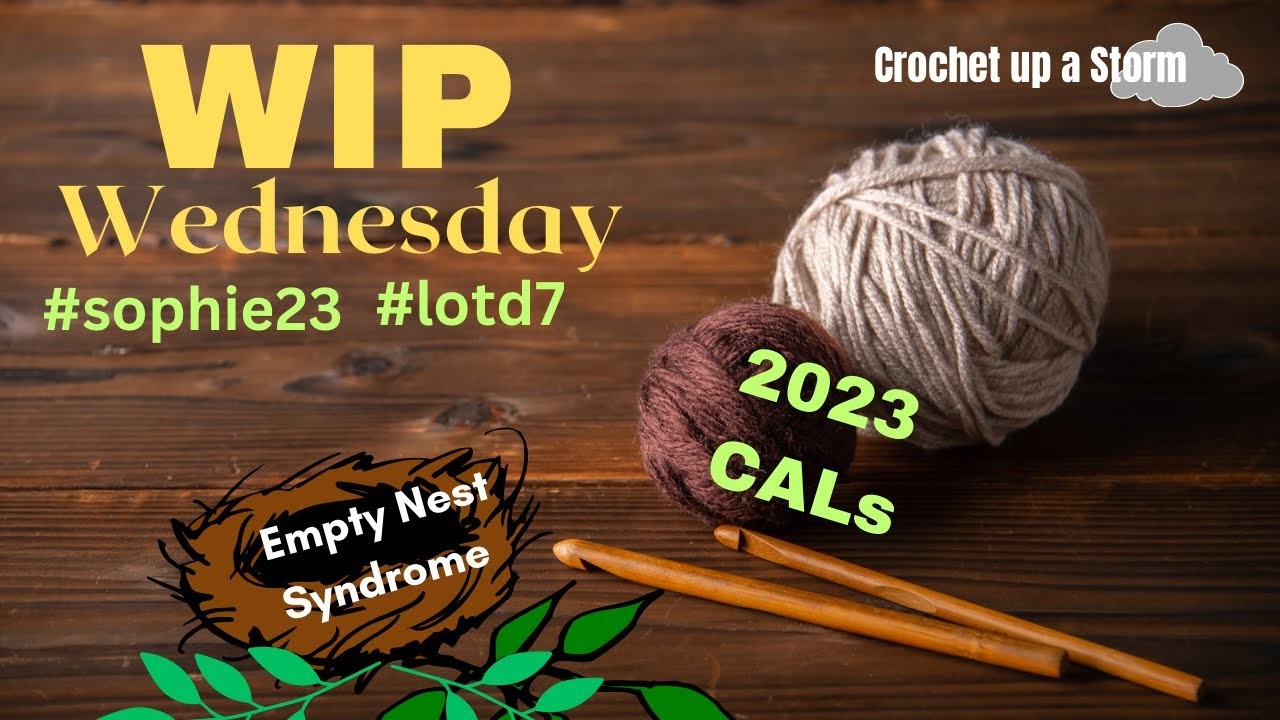 WIP Wednesday 2023 CALs; crochet sweater ep188