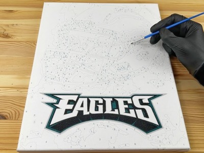 Philadelphia Eagles | Paint By Numbers | Craft Kit