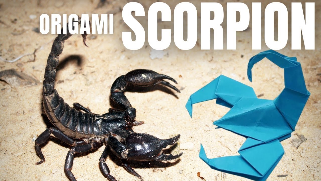 DIY Easy Scorpion Origami Tutorial - Step by Step Guide Fun Origami Project Perfect for Kids