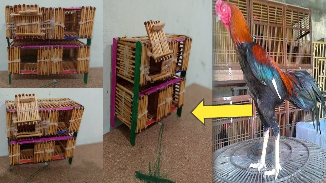 Diycraft-I made a miniature fighting cock cage