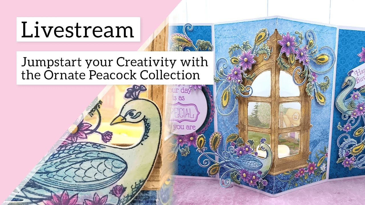 Jumpstart your creativity with the Ornate Peacock Collection