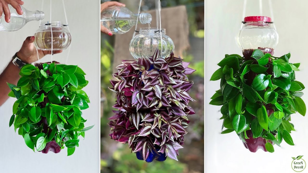 Turn Used Plastic Bottles into Unique Self Watering Planters | DIY Self Watering Ideas.GREEN DECOR