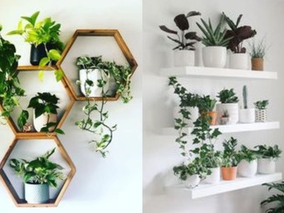 100 Stunning wall Plant Shelves Decoration Ideas| Living Room  Wall Design Ideas| Interior Design
