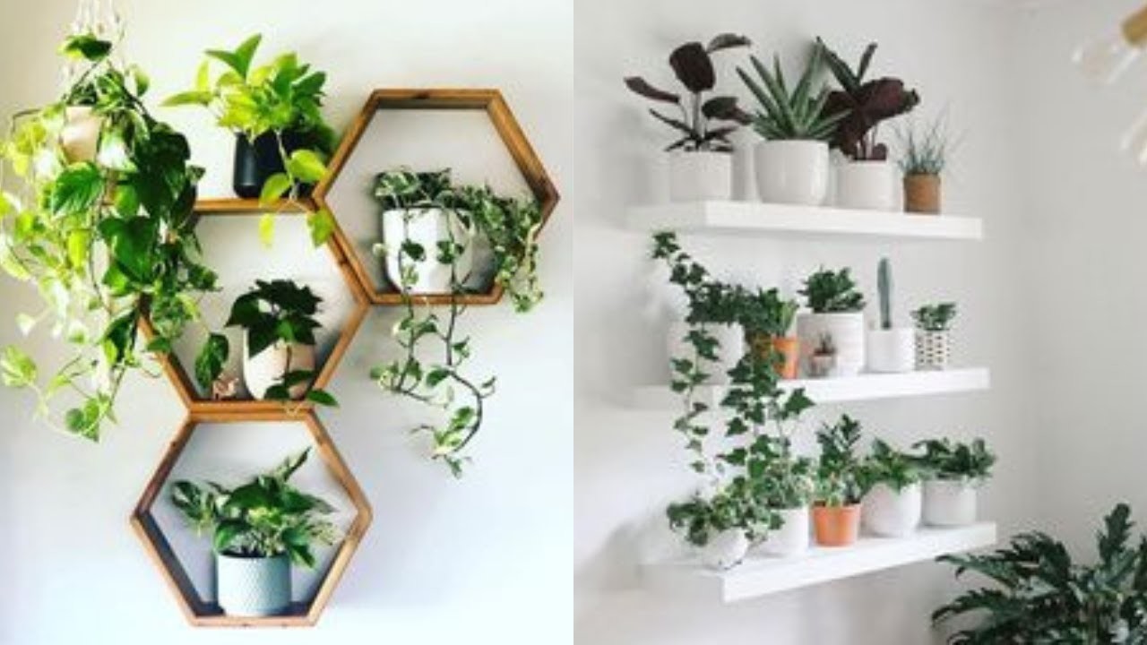 100 Stunning wall Plant Shelves Decoration Ideas| Living Room  Wall Design Ideas| Interior Design
