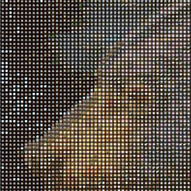 Wildlife Collage Cross Stitch Pattern***L@@K***Buyers Can Download Your Pattern As Soon As They Complete The Purchase