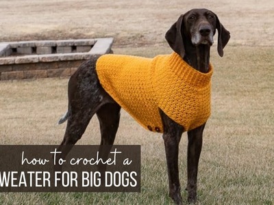 Easy Crochet Dog Sweater for Large, XL, and XXL Dogs