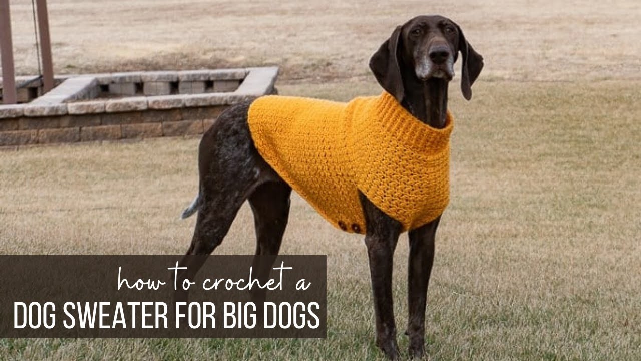 Easy Crochet Dog Sweater for Large, XL, and XXL Dogs