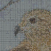 Bird of Prey Cross Stitch Pattern***L@@K***Buyers Can Download Your Pattern As Soon As They Complete The Purchase