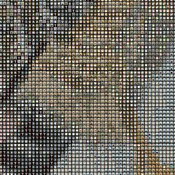 Bird of Prey Cross Stitch Pattern***L@@K***Buyers Can Download Your Pattern As Soon As They Complete The Purchase