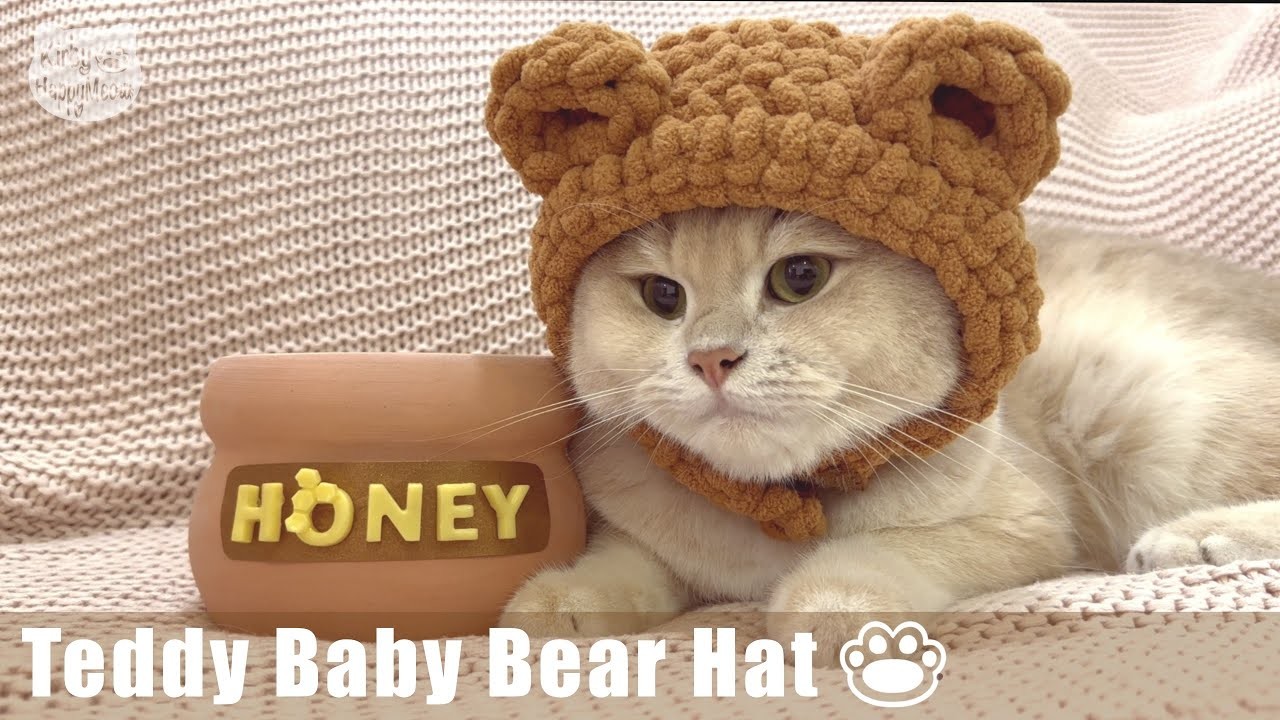 How to Crochet Teddy Baby Bear Hat for your Cat ll Step by Step Tutorial