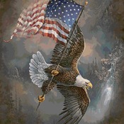 Soaring Over America Cross Stitch Pattern***L@@K***Buyers Can Download Your Pattern As Soon As They Complete The Purchase