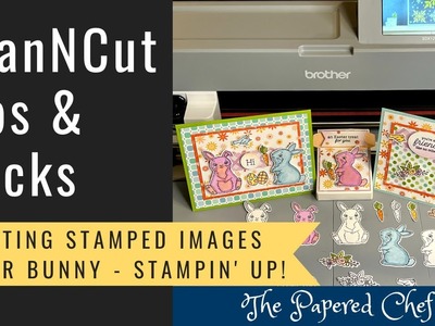 Brother ScanNCut Tips & Tricks - Cutting Stamped Images - Easter Bunny by Stampin’ Up!