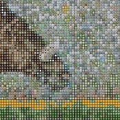 Zenyatta At The Track Cross Stitch Pattern***LOOK***Buyers Can Download Your Pattern As Soon As They Complete The Purchase