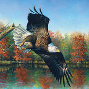 Autumn Eagle Cross Stitch Pattern***L@@K***Buyers Can Download Your Pattern As Soon As They Complete The Purchase